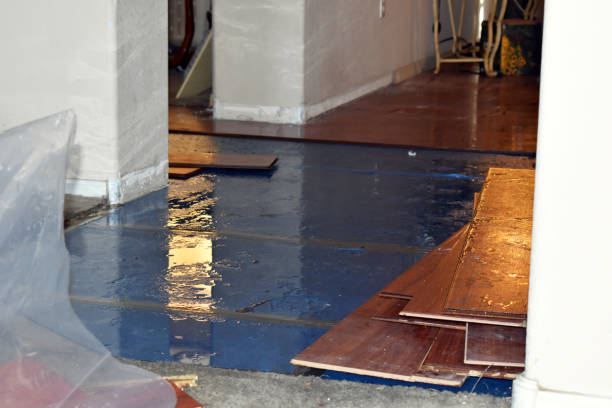 Professional Water Damage Restoration technician working in Pine Mountain Club, CA